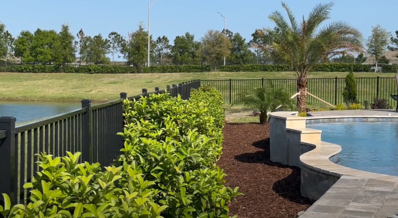 Modern pool area with professional hardscaping featuring palm trees and decorative plants