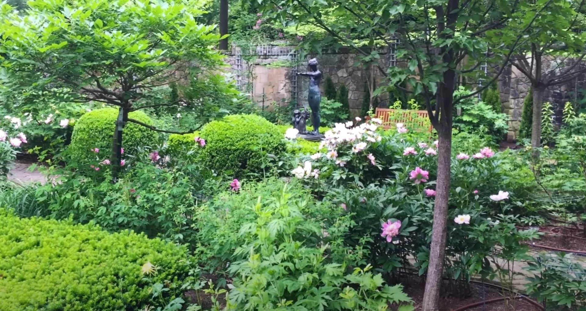 Lush garden with blooming flowers, mature trees, and decorative fountain creating a peaceful outdoor retreat