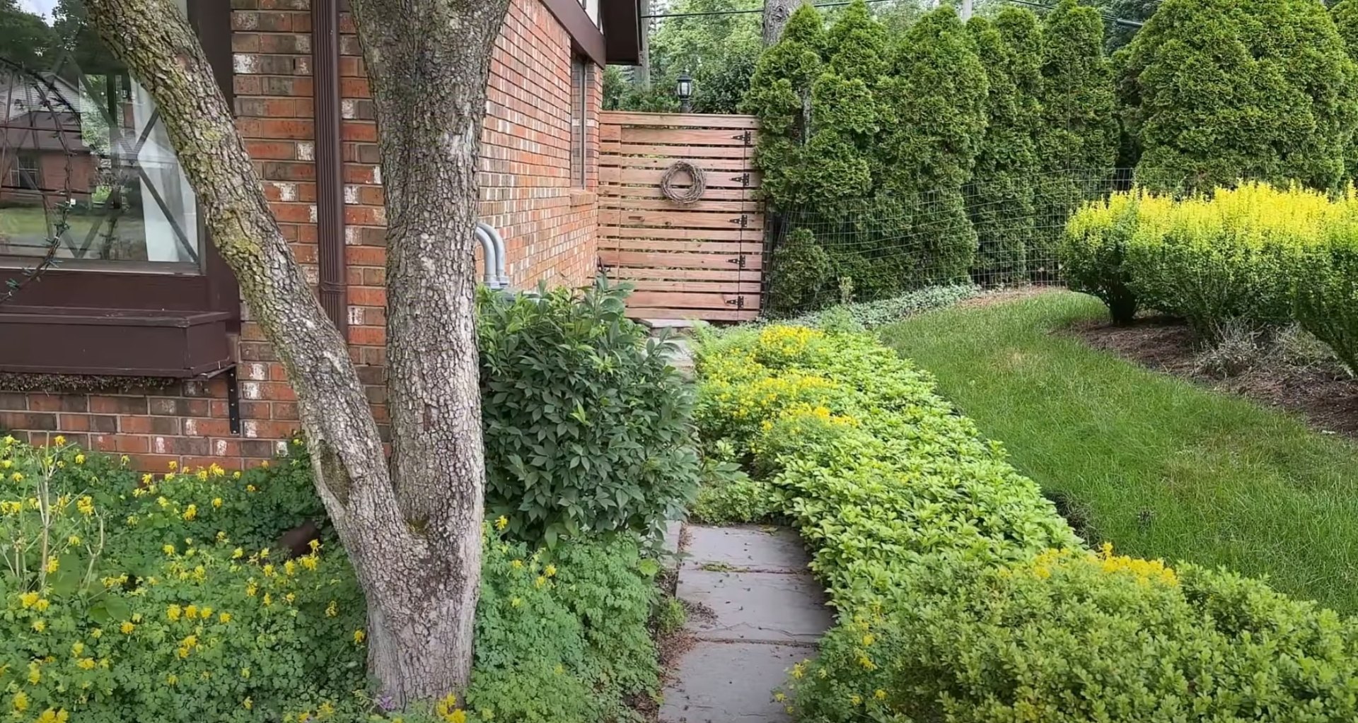 Professional Landscape Design and Maintenance Services Well-maintained residential landscape with lush plantings, professional pathways, and beautiful garden design